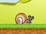 Snail Adventure