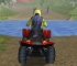 4 Wheel Fury