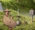 Samorost