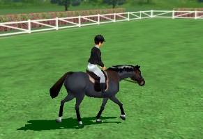 Show Jumping