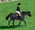 Show Jumping
