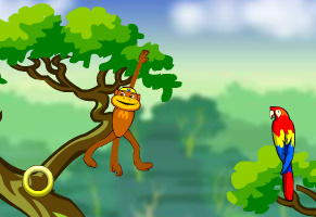 Spider Monkey