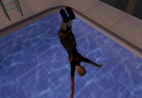 Street Dive