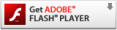 Adobe Flash Player erforderlich